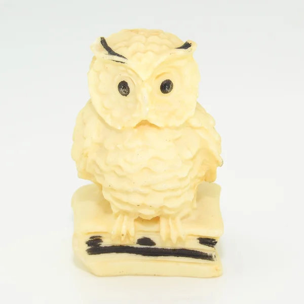 Owl bird — Stok fotoğraf