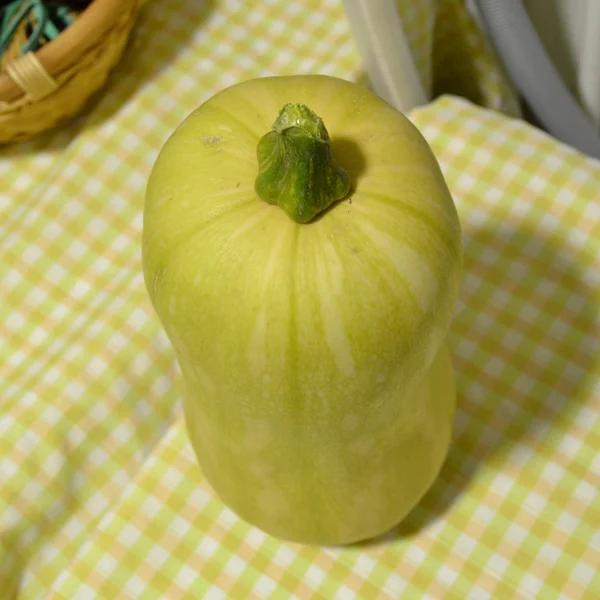 Zucchini — Stock Photo, Image