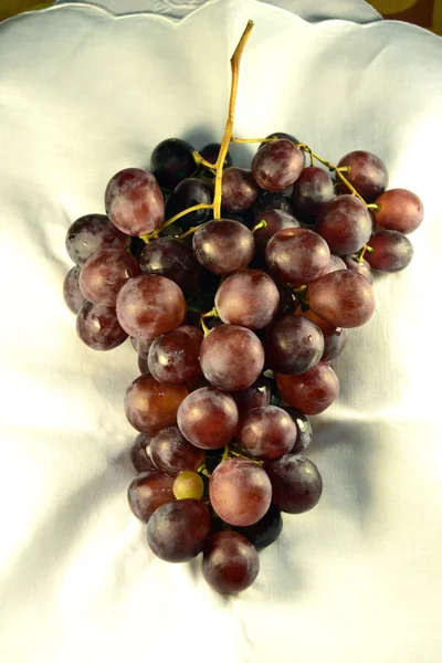 Winogrono — Zdjęcie stockowe
