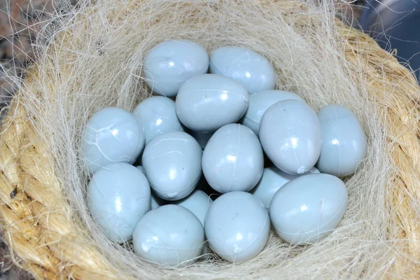 Skupina vejce — Stock fotografie