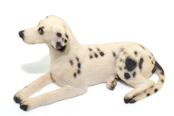 Dalmatian — Stock Photo, Image