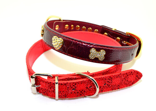 Collar for dogs