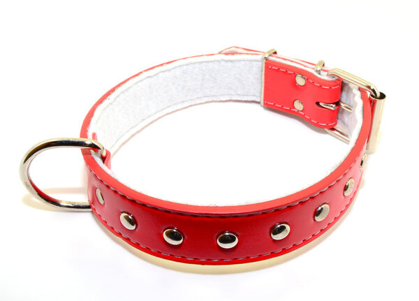 Collar for dogs