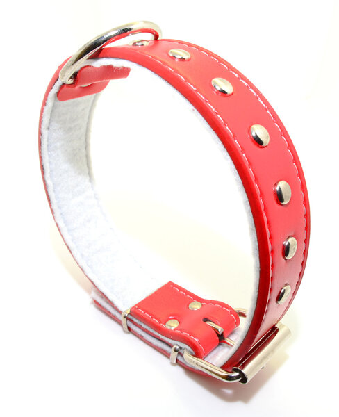 Collar for dogs