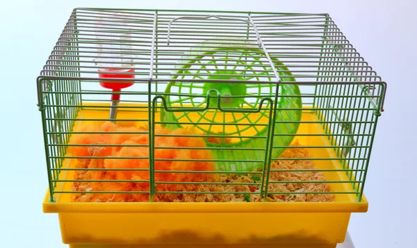 Hamster bur Royaltyfria Stockfoton