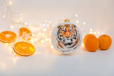 Kaplanın yeni yılı 2022