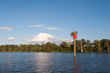 osprey yuva ile kanal marker