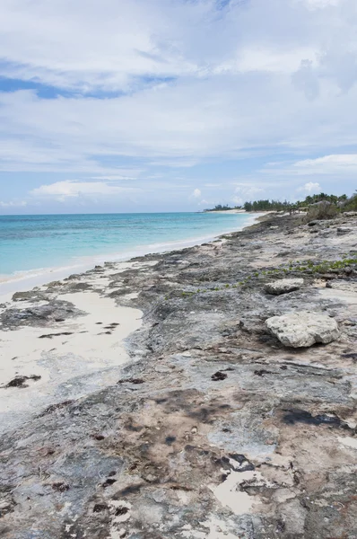 Caribisch strand — Stockfoto