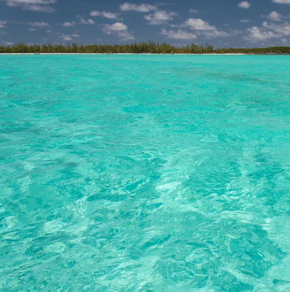berrak tropikal su Adası önünde