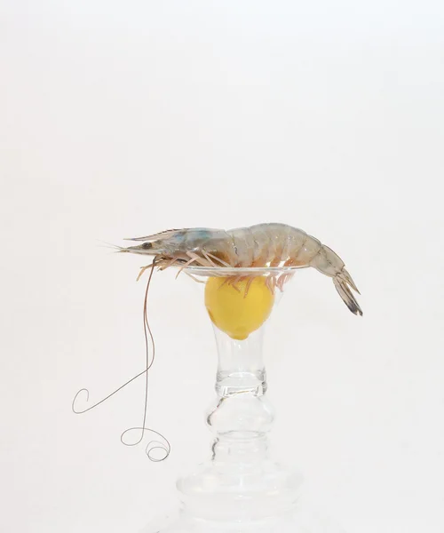 Jumbo shrimp on white background — Stock Photo, Image