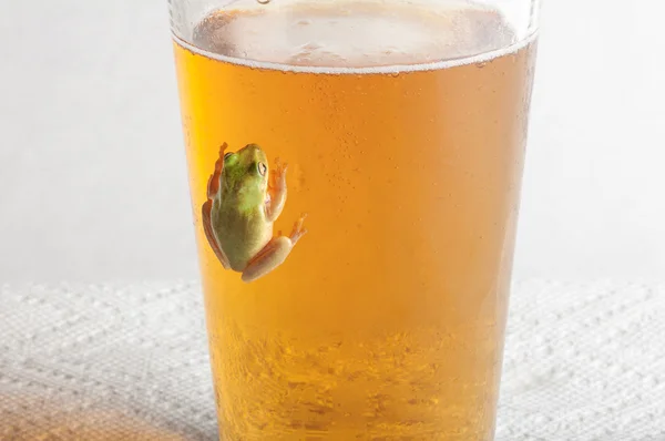 冷一品脱啤酒的玻璃上的青蛙 — 图库照片
