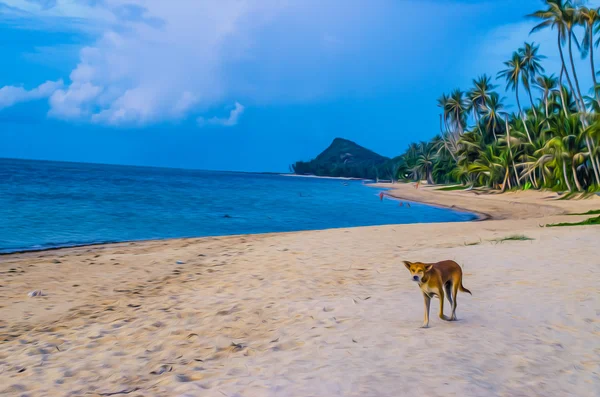 Tailandia Playa —  Fotos de Stock