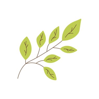 Yapraklı yeşil dal. Bahar veya yaz elementi. Ekoloji konsepti. Renkli vektör izole edilmiş el çizimi. Simge klip sanatı