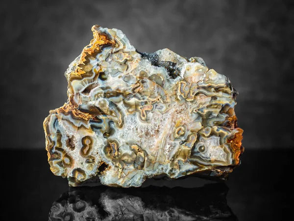 Elemento Collezione Agata Minerale Varietà Fasciata Calcedonio Prodotto Russia Chukotka — Foto Stock