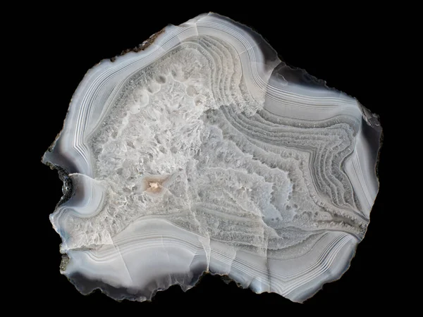 Pièce Collectionner Agate Minérale Variété Baguée Calcédoine Produit Russie Tchoukotka Photo De Stock