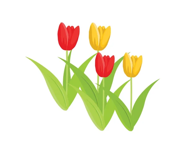 My tulips — Stock Vector