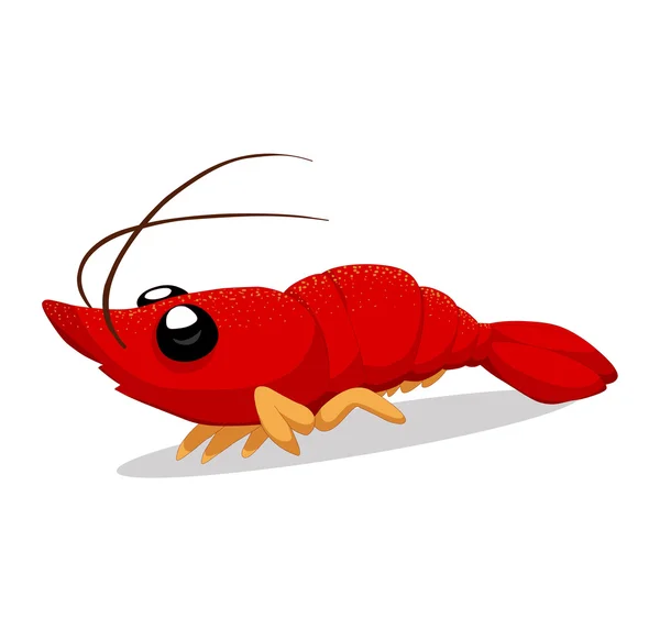 Crawfish — Stock Vector