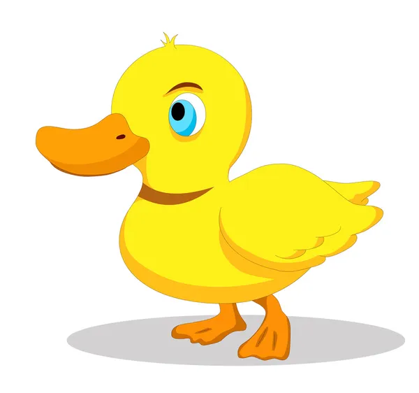 Canard — Image vectorielle