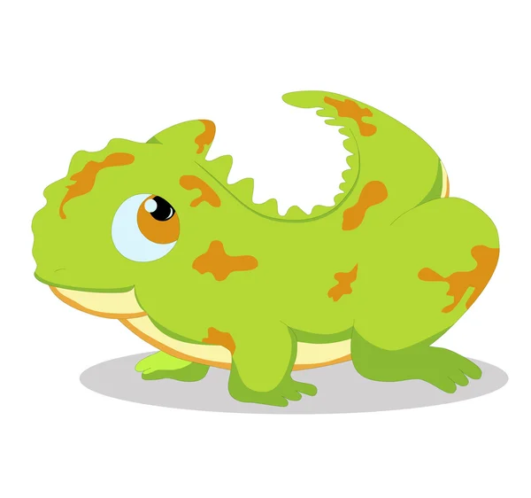 Gecko. — Vector de stock