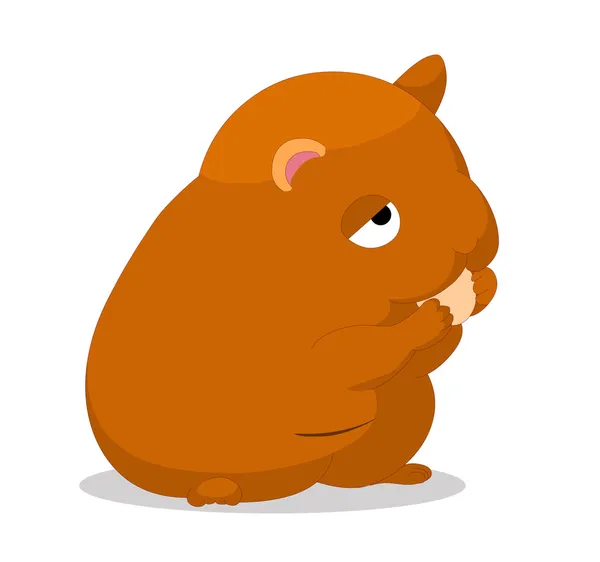 Hamster — Stock Vector