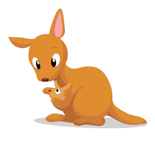 Kangaroo — Stock Vector