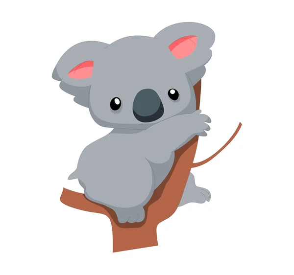 Koala. — Archivo Imágenes Vectoriales