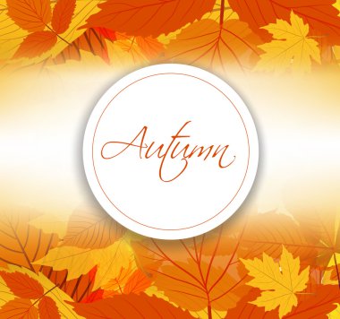 sonbahar yaprakları arka plan