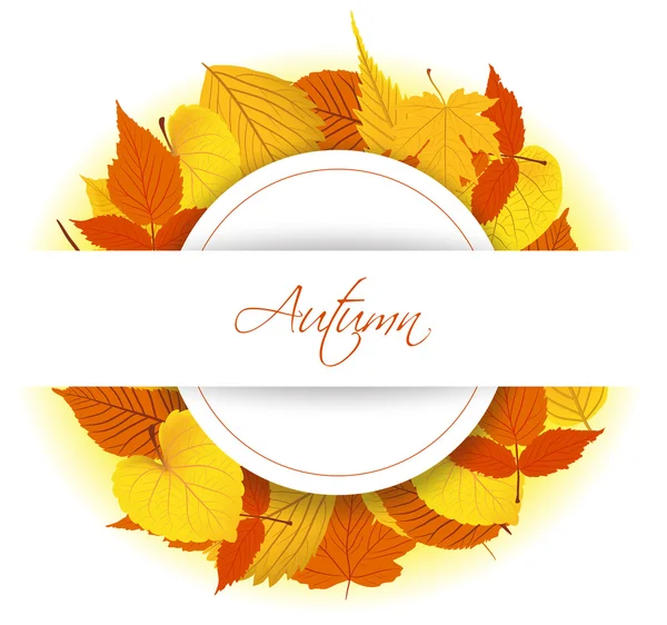 Hojas de otoño fondo — Vector de stock