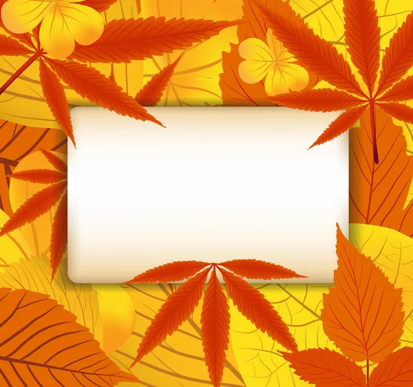 Autumn leaves background — Stock Vector