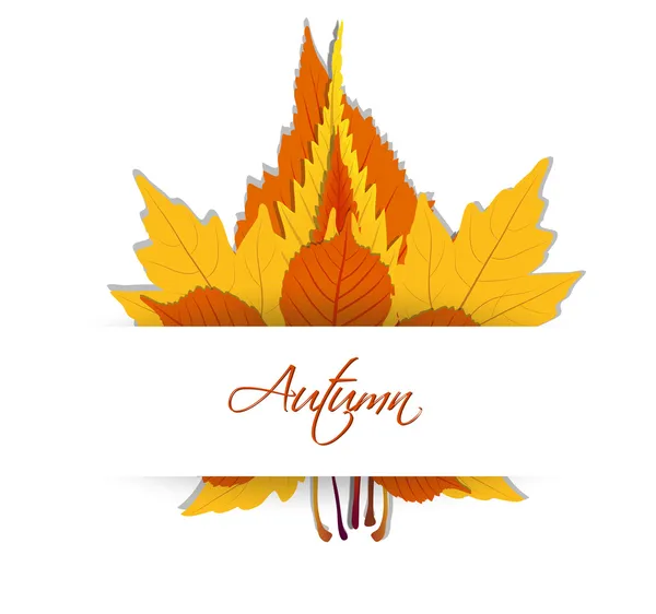 Herfst bladeren achtergrond — Stockvector