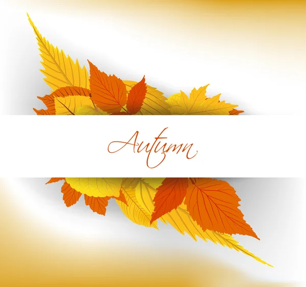 Herfst bladeren achtergrond — Stockvector