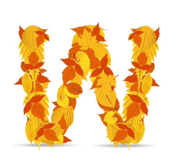 Vector autumn leaves fuente, letra W — Vector de stock