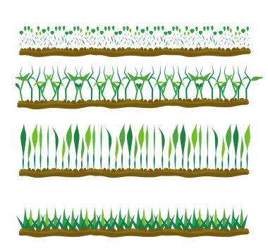 set bir dantel kağıt çiçek