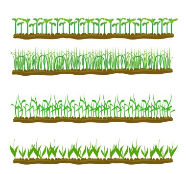 set bir dantel kağıt çiçek