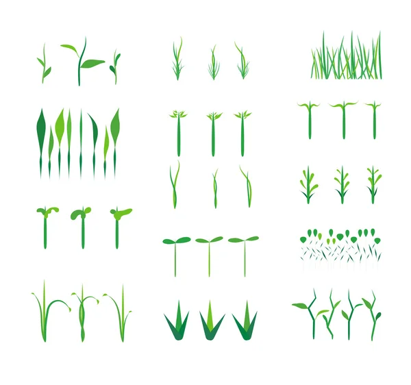 Collection of natural green trees icons set — Stock Vector