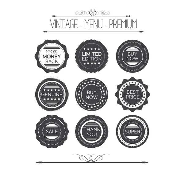 Set van vintage badges en etiketten — Stockvector