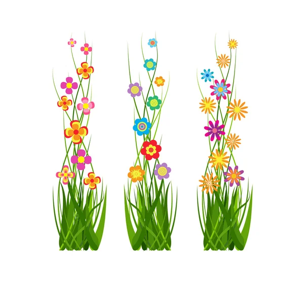 Collection grass and flowers — Stock Vector
