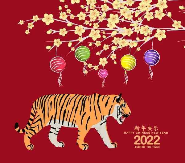 中国传统新年2022年 花和灯笼背景 — 图库矢量图片