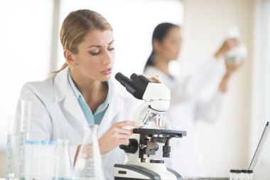 Laboratuvarda çalışan bilim adamları