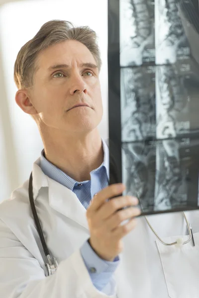 Médico Masculino Examinando Imagem de Raios-X — Fotografia de Stock