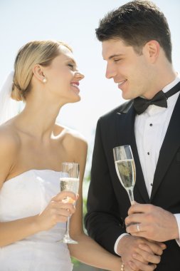novios con las flautas de champán al aire libre de la mano