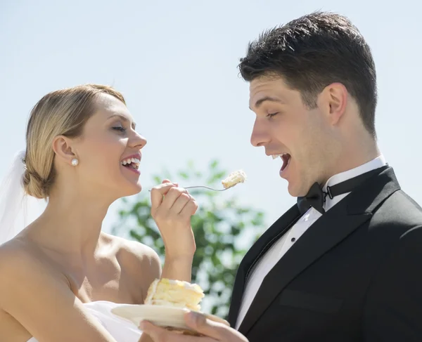 Cheerful Bride Feeding Wedding Cake To Groom — Stock Photo, Image