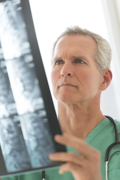 Chirurg, analizując raport x-ray — Zdjęcie stockowe