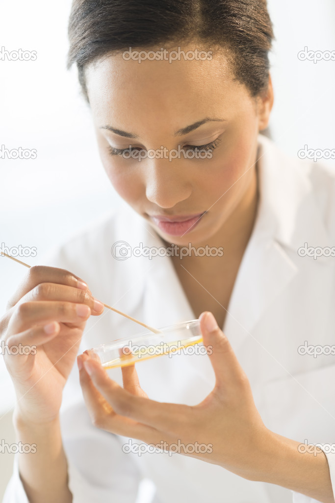 Scientist Examining Solution With Cotton Swab In Laboratory