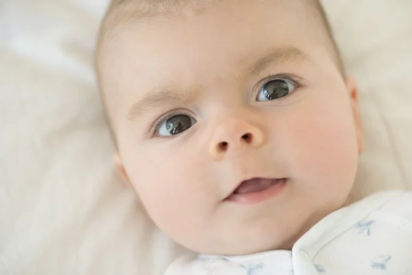 Close-up de bonito — Fotografia de Stock