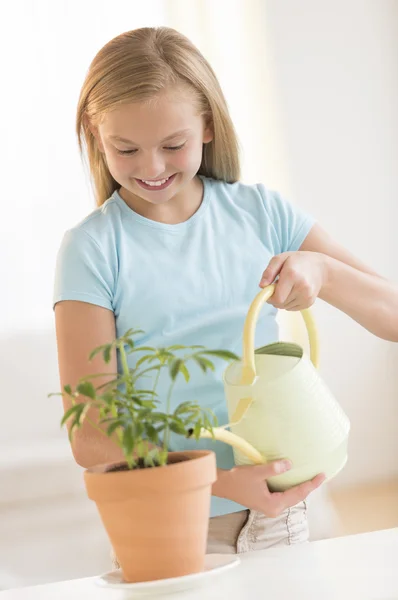 Friends Watering Potted Plant At Home — Stock Photo, Image