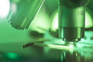 tek renkli görüntüyü mikroskop