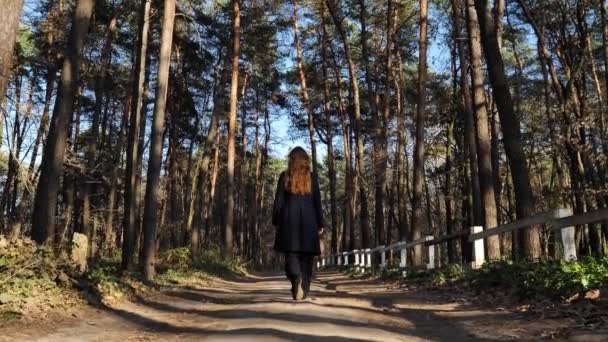 一个女人走在树林里 — 图库视频影像