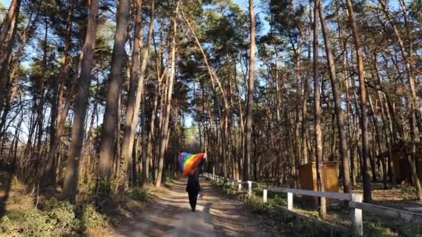 Persona con bandiera LGBT nella foresta — Video Stock