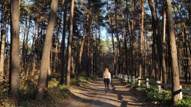A menina está andando na floresta — Vídeo de Stock